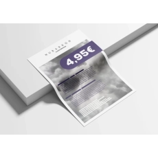 FLYER 10 x 15 CM - IMPRESSION RECTO