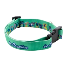 Collier pour chien