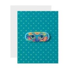 Cache webcam