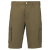 Light khaki