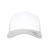 SILVER / WHITE